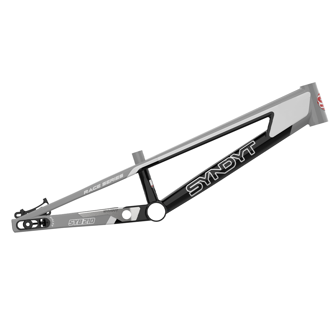 SYB 210: 21” TT Pro XL BMX Frame